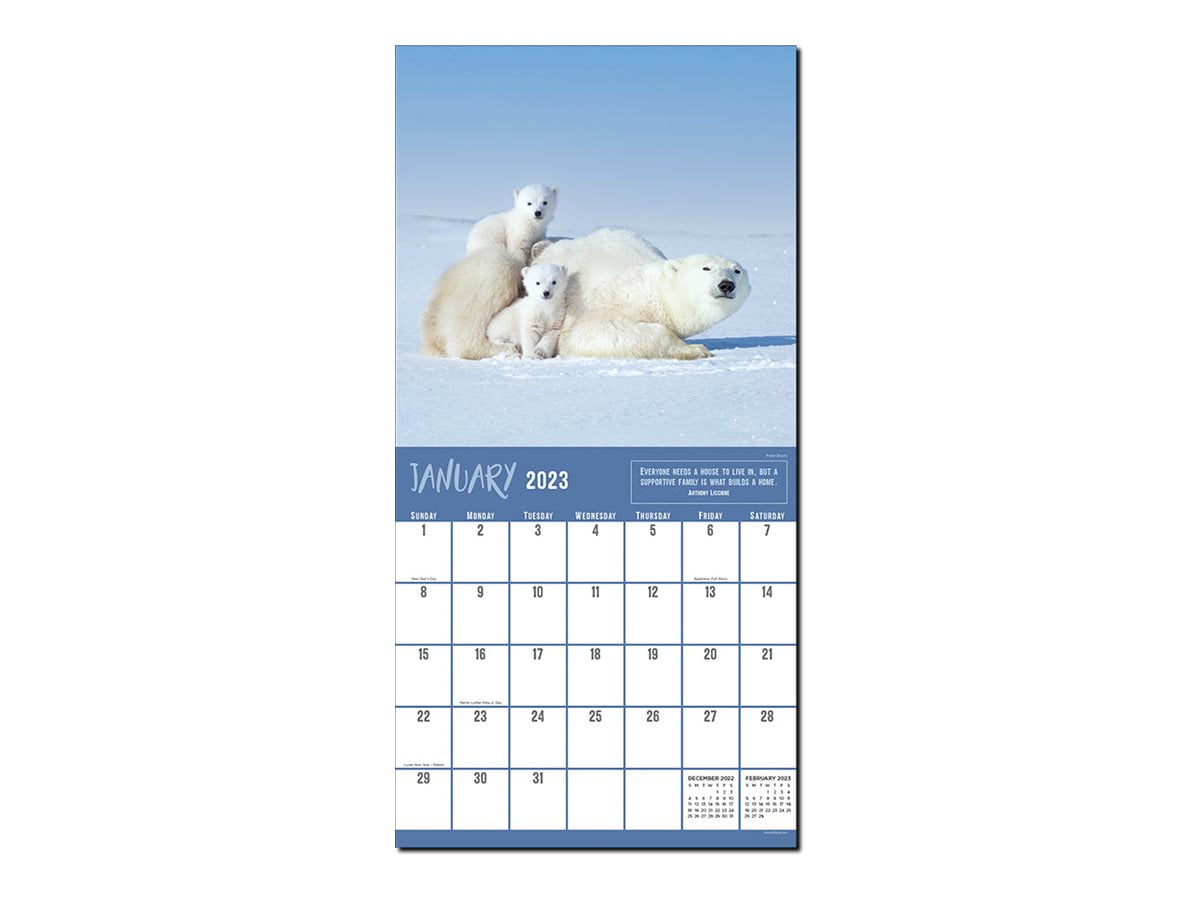 TF Publishing - Calendar - wall mount - 2023 - wild families - month to view - 12 in x 12 in - dated