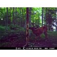thumbnail image 3 of Fontaine Minérale Blaze 10 lb (pail) par Rack Stacker, 3 of 10