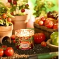 thumbnail image 3 of Yankee Candle Into The Garden Collection - Sun Gold Tomato - Tangy Lime & Tomato Vine - Large 3-Wick Tumbler Candle, 3 of 3
