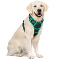 thumbnail image 1 of Arnés para perros Rabbitgoo, ajustable, tamaño XL, negro y turquesa, 1 of 7