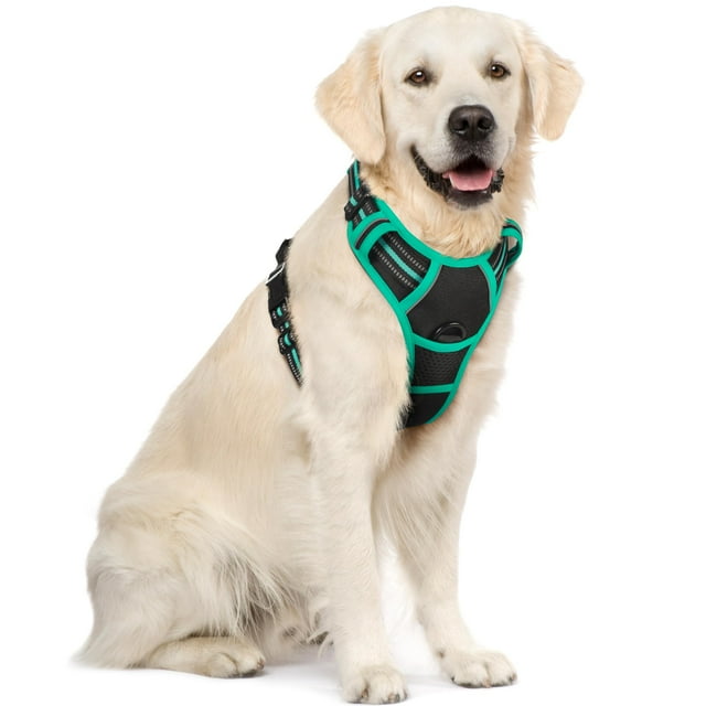 Arnés para perros Rabbitgoo, ajustable, tamaño XL, negro y turquesa