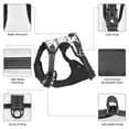 thumbnail image 6 of Fotbe Dachshund Dog Puppy Pattern Dog Harness, No-Pull Pet Harness with 2 Leash Clips, Adjustable Soft Padded Dog Vest with Easy Control Handle for Large Dogs-Small, 6 of 6