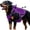Purple, variant on Black Large Dog Harness, Tear-Resistant Reflective Adjustable Vest, Suitable for Large Dogs