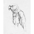 thumbnail image 3 of Caroline, Emma 12x14 Black Modern Framed Museum Art Print Titled - Parrot Portrait I, 3 of 5