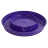 Little Giant Plastic Screw-On Waterer Base 1 Gallon, Purple
