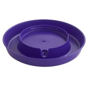 Little Giant Plastic Screw-On Waterer Base 1 Gallon, Purple
