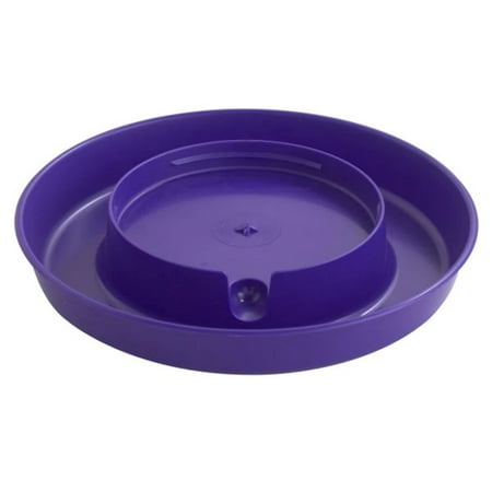 Little Giant Plastic Screw-On Waterer Base 1 Gallon, Purple