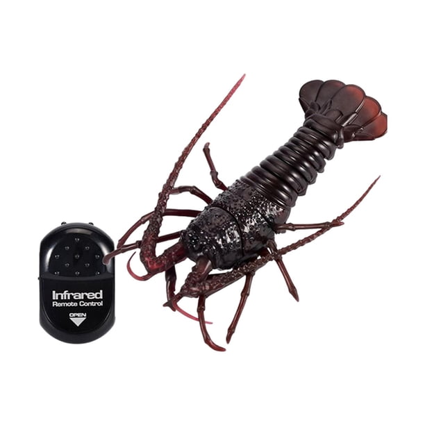 Coche de juguete de control remoto Billuyoard cangrejo para niños 10 cm x 16 cm