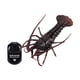 thumbnail image 1 of Coche de juguete de control remoto Billuyoard cangrejo para niños 10 cm x 16 cm, 1 of 1