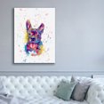 thumbnail image 5 of Epic Graffiti 'Colorful Watercolor French Bulldog' by Furbaby Affiliates, Canvas Wall Art, 40"x54", 5 of 8