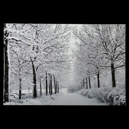 Northlight Fiber Optic Lighted Winter Lane Christmas Canvas Wall Art - 23.5" x 15.75"