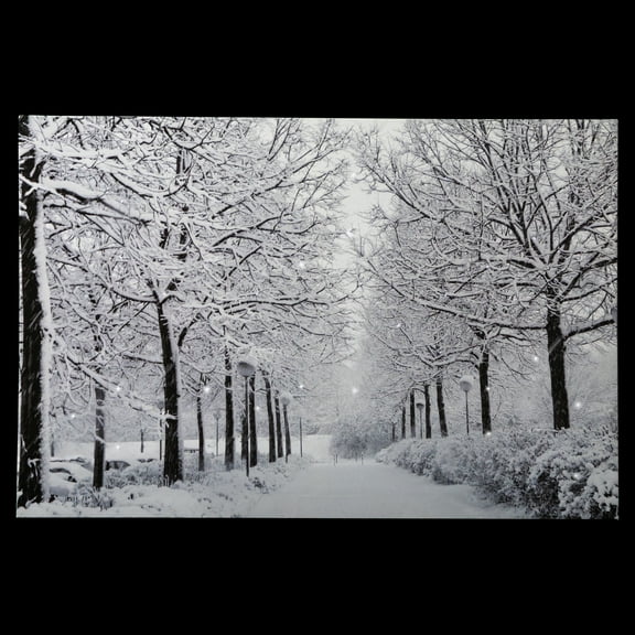 Northlight Fiber Optic Lighted Winter Lane Christmas Canvas Wall Art - 23.5" x 15.75"