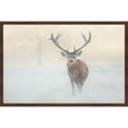 thumbnail image 2 of Marmont Hill "The Lone Buck" Framed Painting Print, 2 of 5