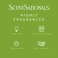 thumbnail image 4 of Cucumber Melon Scented Wax Melts, ScentSationals, 2.5 oz, 4 of 6