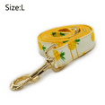 thumbnail image 2 of Collares para gatos, Collares para perros, Correas para gatos, Correas para perros, Collares para perros pequeños, Collares para perros medianos,, 2 of 5