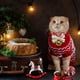 thumbnail image 4 of Collar de Navidad para mascotas, perros, gatos, pajarita, collar de Navidad para perro mediano con pajarita, collar ajustable para perros y gatos (Papá Noel, S) Sailing Electrónica, 4 of 4