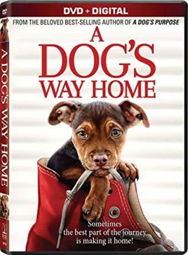 84 New A dogs way home redbox for Large Space