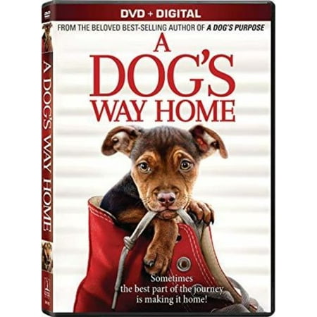 A Dog's Way Home (DVD + Digital Copy) (Best Way To Store Dvds Digitally)
