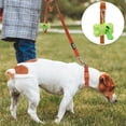 thumbnail image 6 of azuza 3 Pack Fall Nylon Dog Leashes Strong & Durable Basic Dog Leash with Easy to Use Collar Hook for Puppy and Small Dogs, XS (6FT, 3/8"), 6 of 6
