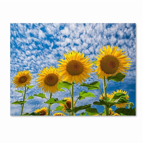 Trademark Fine Art "The Four Sisters" Canvas Art by Michael Blanchette Photography