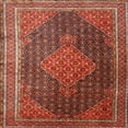 thumbnail image 1 of Ahgly Company Machine Washable Indoor Square Traditional Sunrise Orange Area Rugs, 5' Square, 1 of 7