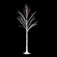 thumbnail image 1 of RAZ Imports Lights 6' Birch Lighted Tree with Fairy Lights, 1 of 3