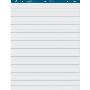 Business Source, BSN38590, Standard Ruled Easel Pad, 2 / Carton