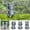 F, variant on Sruoe Garden Statues for Outside, Garden Decorations Outdoor, French Zen Garden Decor, Gardening Gifts, Garden Statues and Figurines Outdoors, Garden Statue Decorations for Garden Lawn Pathway Yard