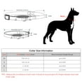 thumbnail image 3 of Plutus Pet Reflective Martingale Collar with Quick Snap Buckle, 3 of 7