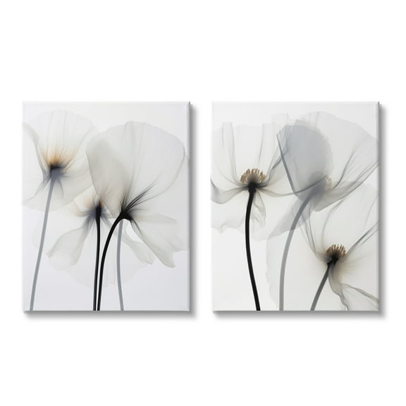 Stupell Industries White Flower Photography Botanical & Floral Photography Gallery Wrapped Canvas Art Print Wall Art, 16 x 20, Set of 2