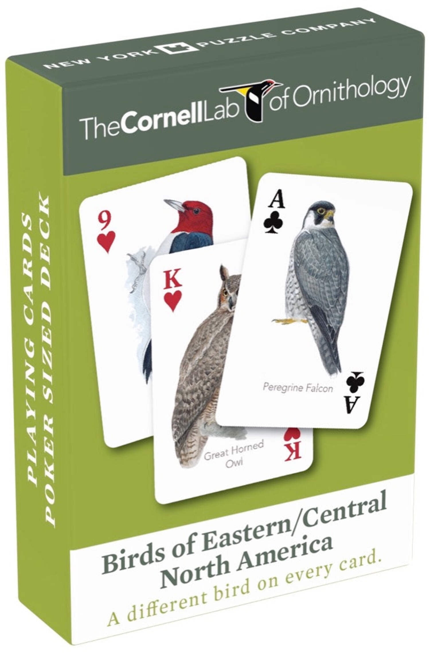New York Puzzle Company Birds of Eastern/Central North America Playing Cards Single Standard Deck
