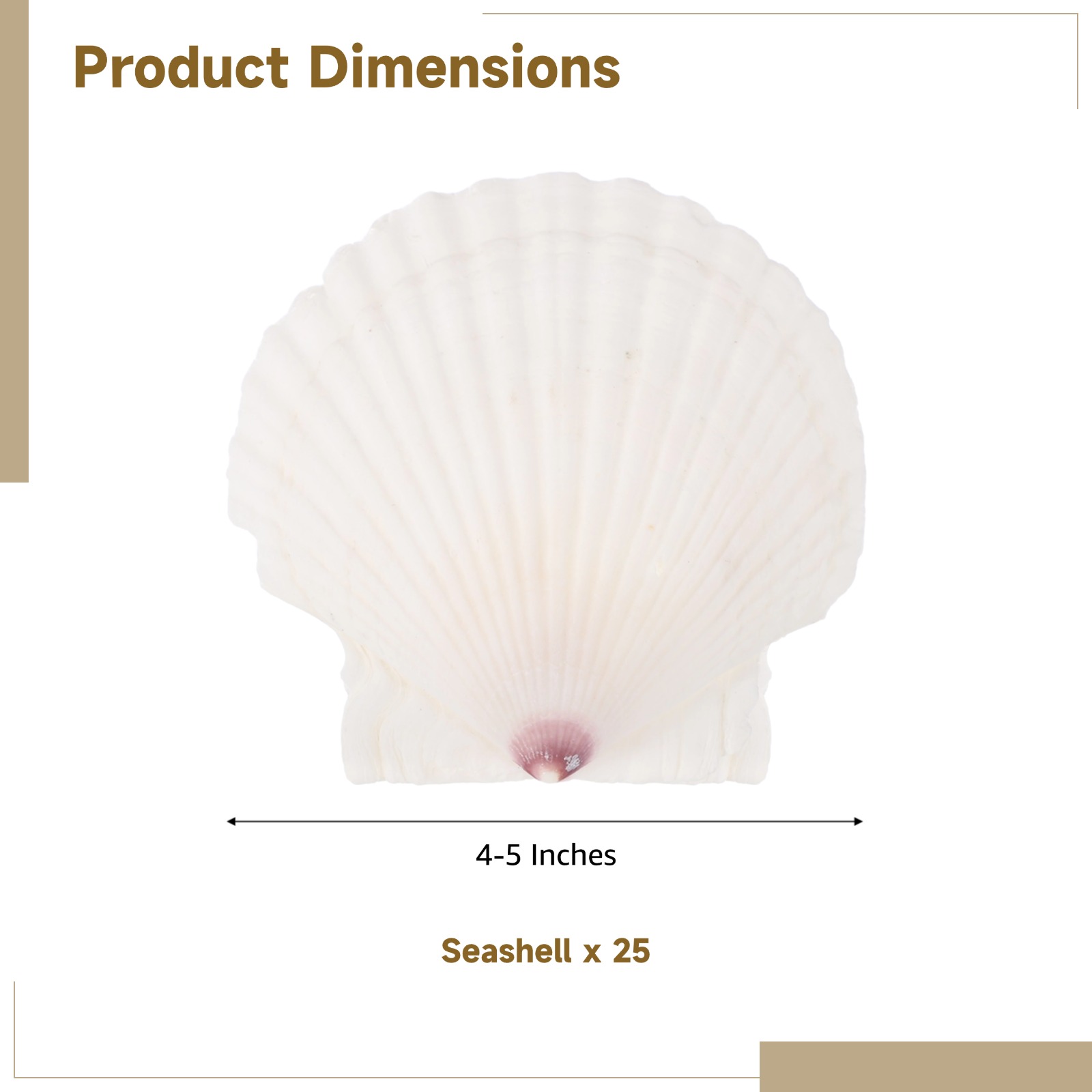 25 Pcs Scallops Shells, 4-5 Inches Large White Seashells, DIY Handcraft Materials, Perfect for Crafts Painting, Beach Theme Parties Wedding and Aquarium Fish Tank Decor