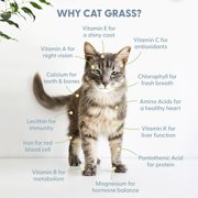 The Cat Ladies Organic Cat Grass Kit 1 Count, Indoor Cat Grass with Soil and Seeds for Easy Planting