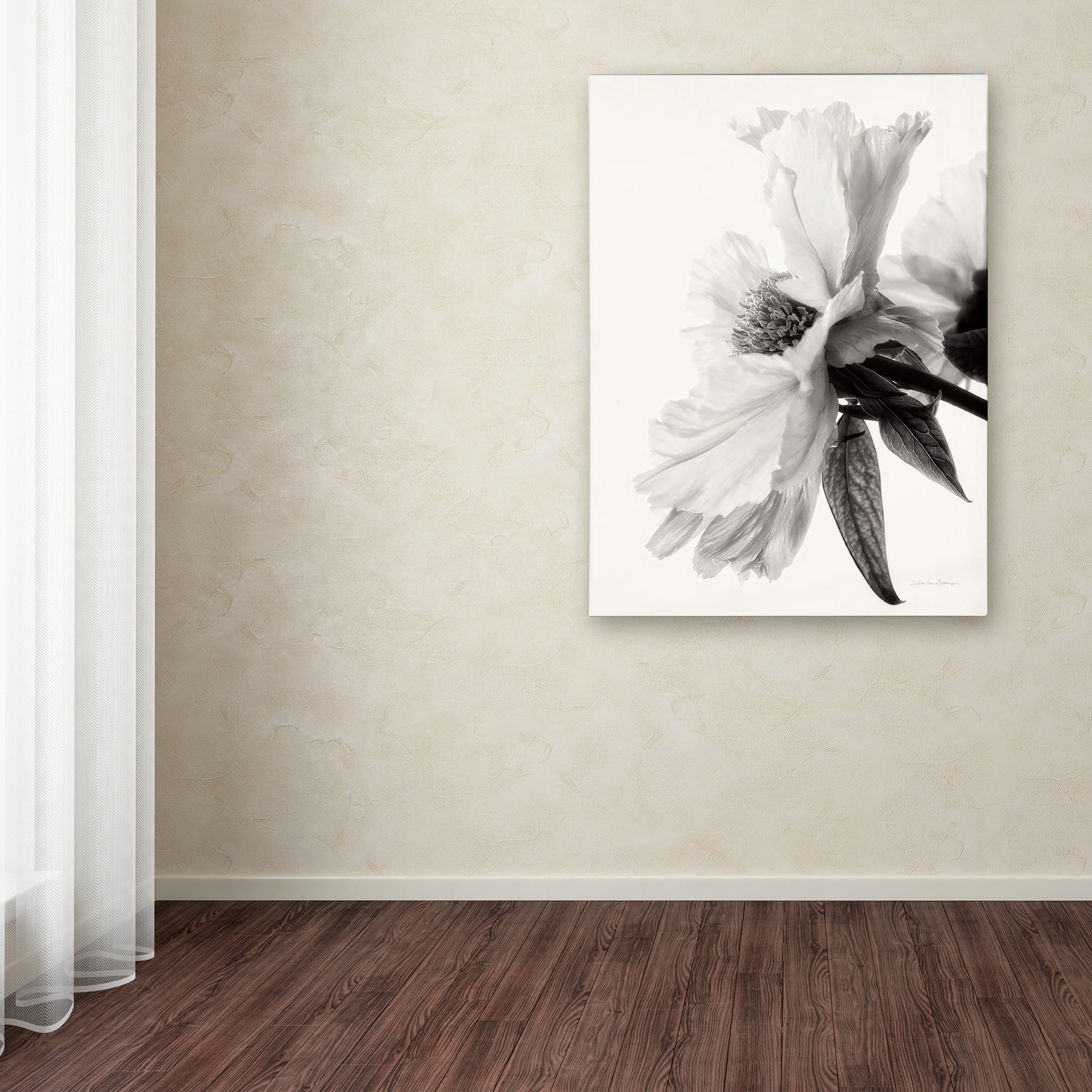Trademark Fine Art 'Translucent Peony IVBW' Canvas Art by Debra Van Swearingen