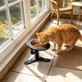 thumbnail image 5 of Pet Feeding Bowl Adjustable Height Angled Design Non Slip Base for Cats and Small Dogs, 5 of 6