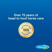 Farnam Repel-X pe Concentrated Fly Spray for Horses, Just Add Water 16 Ounces