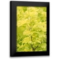 thumbnail image 1 of Murdock, Ramona 13x18 Black Modern Framed Museum Art Print Titled - Spring Leaves III, 1 of 5
