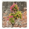 thumbnail image 3 of Ambesonne Floral Shower Curtain, Flourishing Tree Wall, 69"Wx70"L, Multicolor, 3 of 5