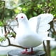 thumbnail image 4 of 2 adornos de simulación de blancas decorativas de plumas para pájaros, 4 of 9