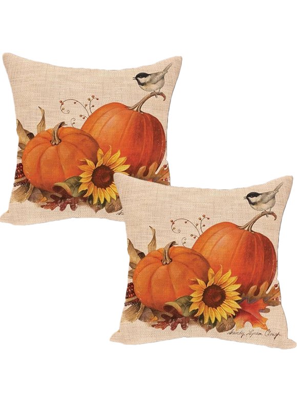 Fall Pillows in Fall Decor