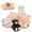 Brown-Lazy Bear, variant on Muiteiur 6Pcs Bulk Stuffed Animal 4" Lovely Plush Dog Stuffed Animal