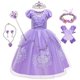 thumbnail image 1 of Vestido de Princesa Sofía para niña, disfraz de Cosplay con apliques de perlas, ropa de tul mullida de lujo para Halloween, nuevo Fivean unisex, 1 of 2