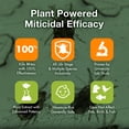 thumbnail image 3 of EcoVenger Mite Killer 16 OZ Spray, Kills Dust Mites, Scabies, Bird Mites, Chiggers, Poultry Mites, Spider Mites for Residential, Plant, Animals & Birds, Plant-Based and Non-Toxic, 3 of 7