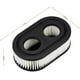 thumbnail image 1 of Demason 2 filtros de aire para cortacésped Briggs & Stratton, 593260, negro Sincero Electrónica, 1 of 2