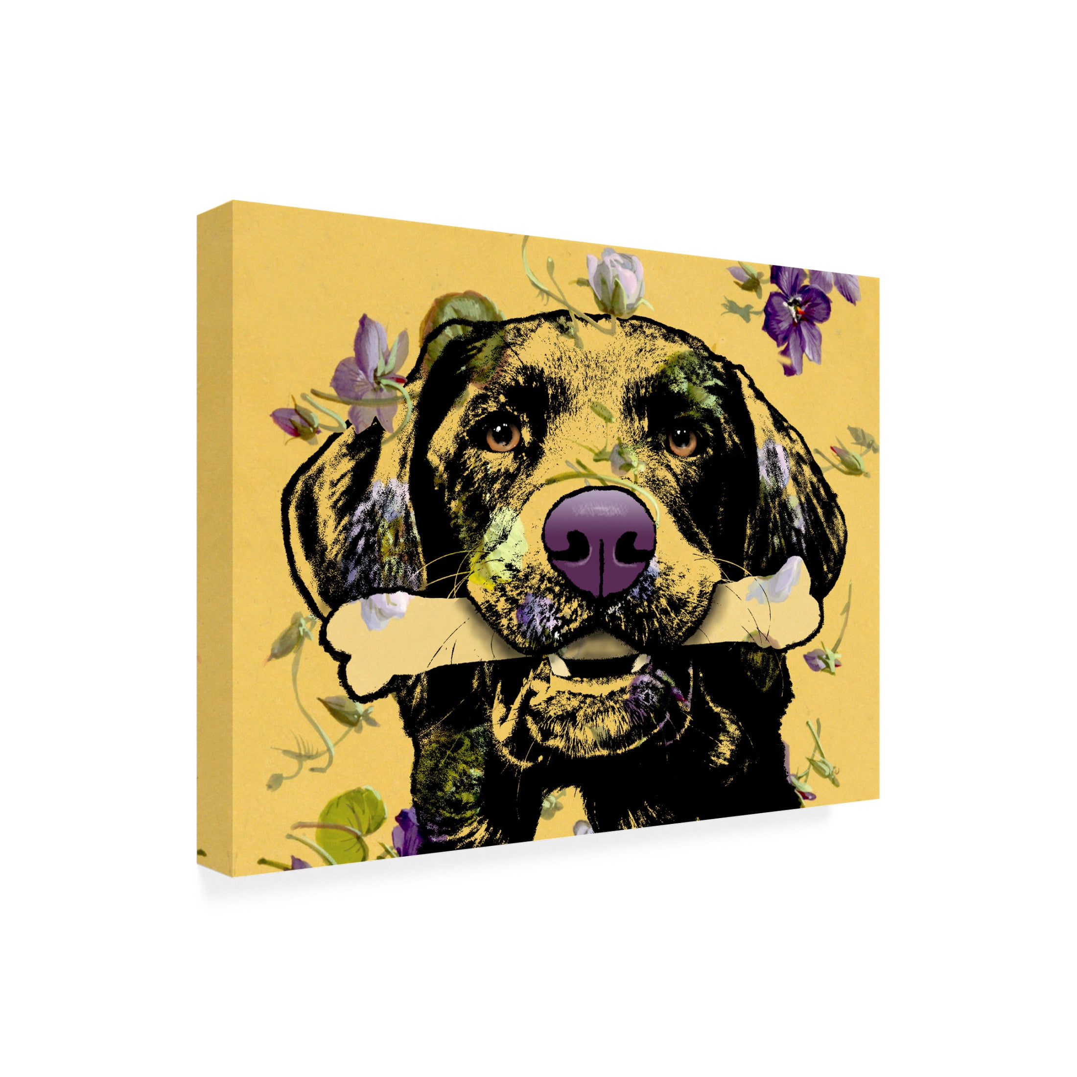 Canvas Wall Art - Dean Russo 'Give' Wall Art for Living Room, Bedroom, or Office Décor by Trademark Fine Art - 24 x 18 Inches