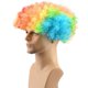 thumbnail image 3 of 2025 Latest Model Unisex Short Fluffy Afro Wigs-Women Men Kinky Curly Disco, 3 of 5