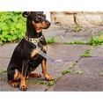 thumbnail image 3 of 32FT Dog Tie-Out for Outdoor Adventures, Multifunctional & Heavy Duty, Reflective Cable, Durable Clip, Chew Proof, Silver, 3 of 4