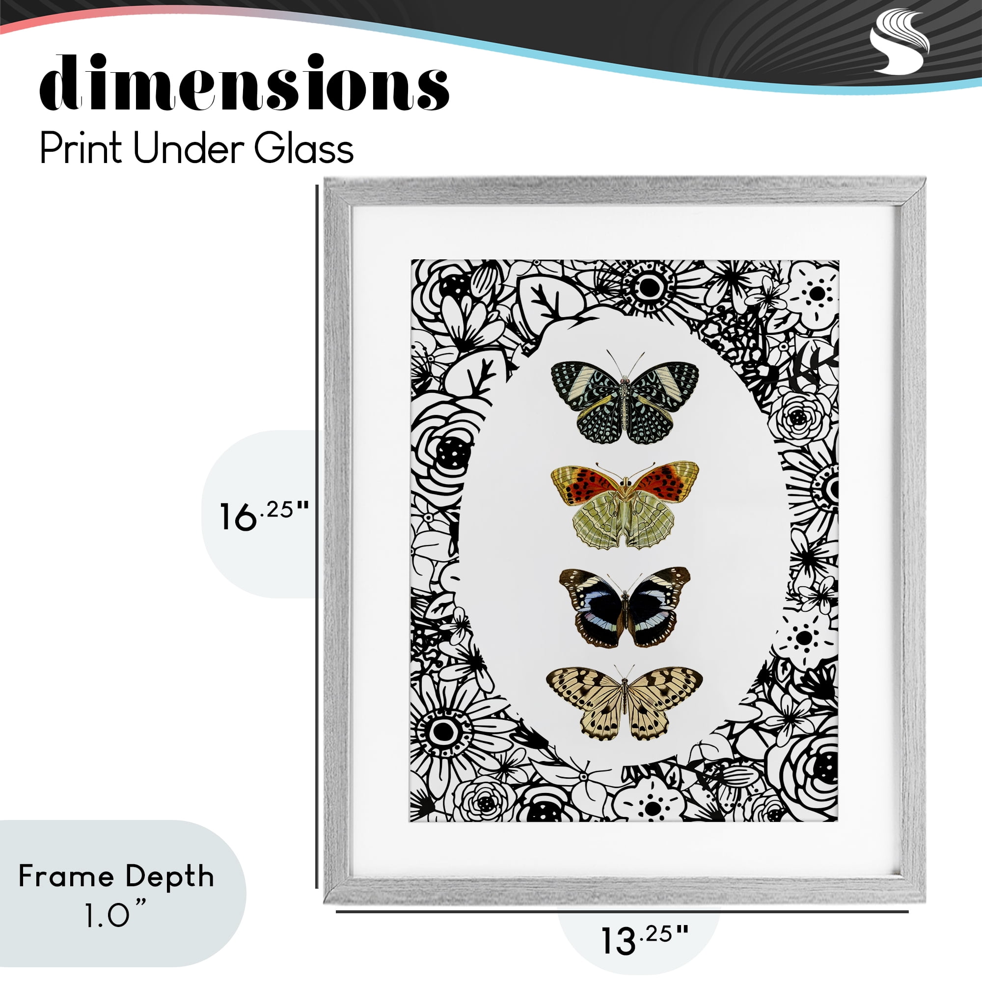 Stupell Industries Floral Butterfly Lineup Gray Framed Print Under Glass, design by Dan Meneely