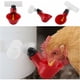 thumbnail image 5 of 5 bebederos automáticos para aves de corral, dispensador de agua portátil, tazón de plástico, bebedero para aves, codornices, palomas, pollos y gallinas (25 mm), 5 of 5