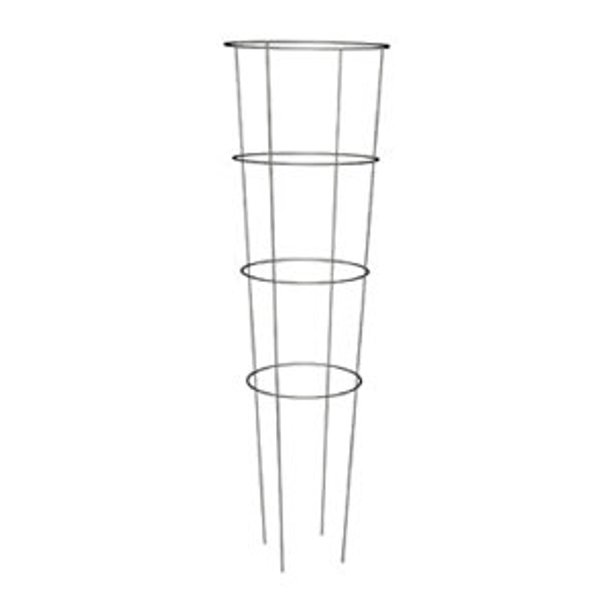 TOMATO CAGE 54" PRO GALV